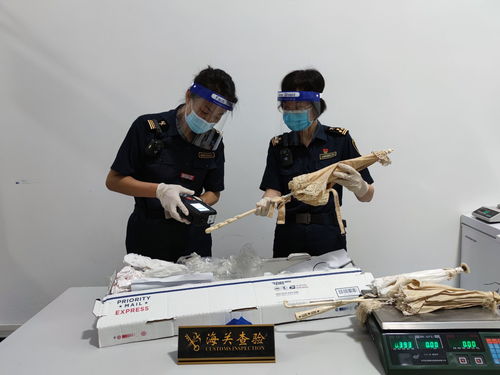 江門廣播電視臺 打造精品節目，傳播僑鄉之聲